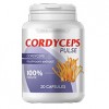 Cordyceps Pulse - θεραπεία για την υπέρταση