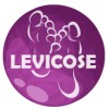 Levicose - τζελ για κιρσούς